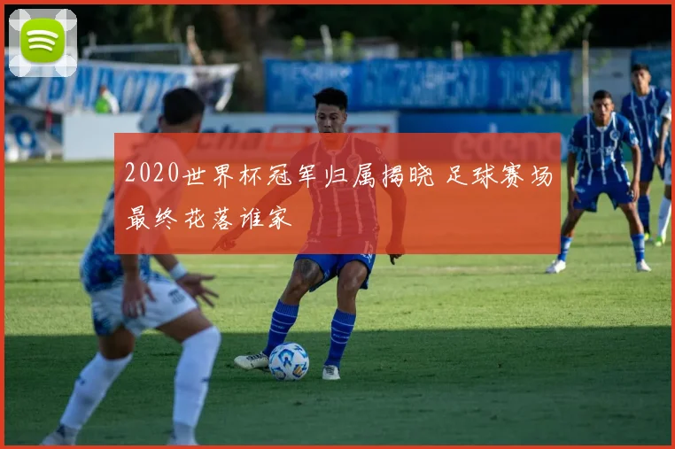 2020世界杯冠军归属揭晓 足球赛场最终花落谁家